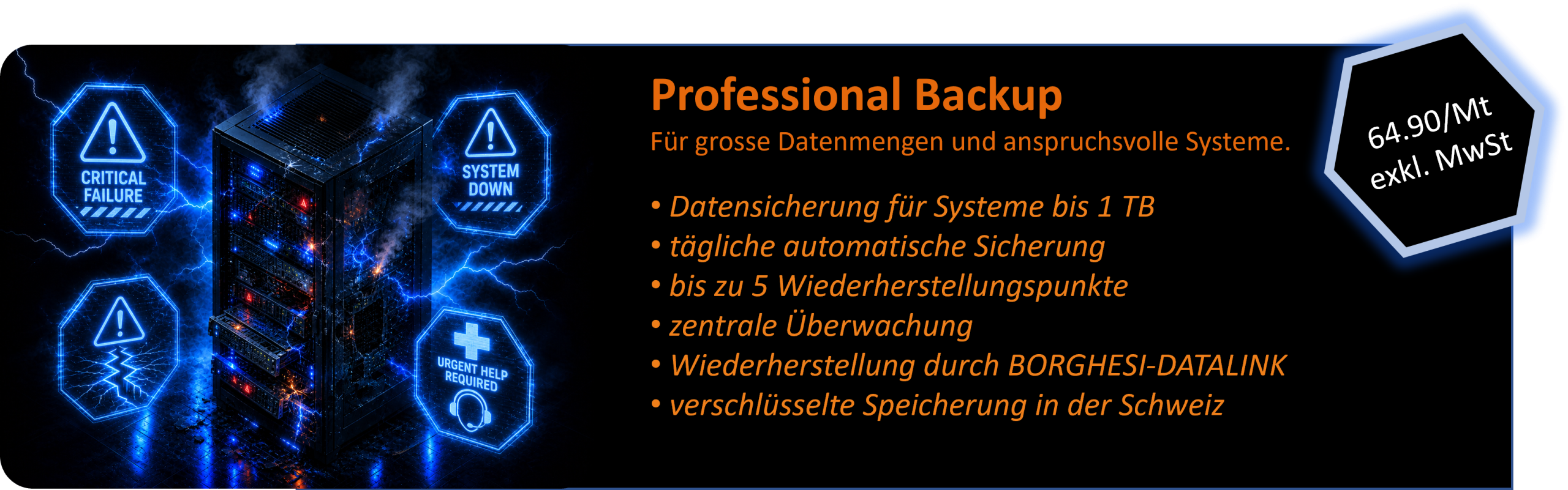 backup-PROFESSIONAL